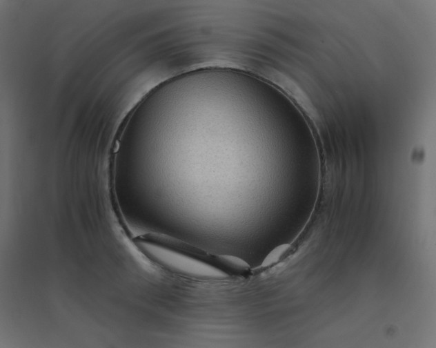 X0000094450898200711211516