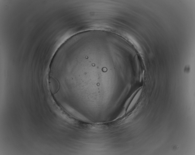 X0000094450899200711211516