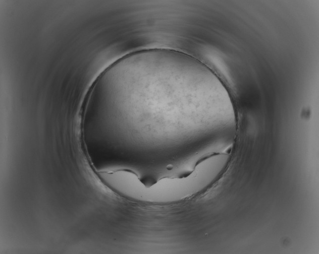 X0000094450900200711211516