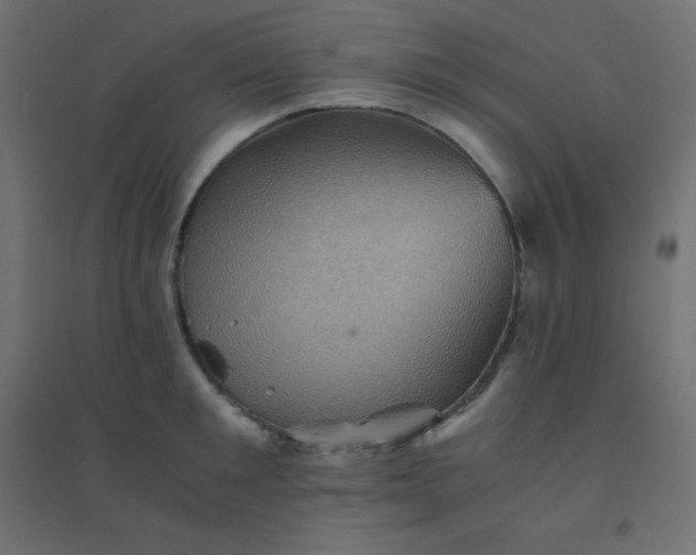 X0000094450901200711211516