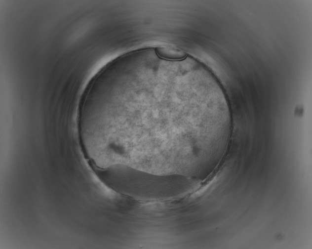 X0000094450902200711211516