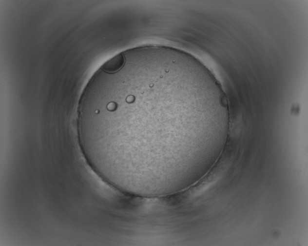 X0000094450903200711211516