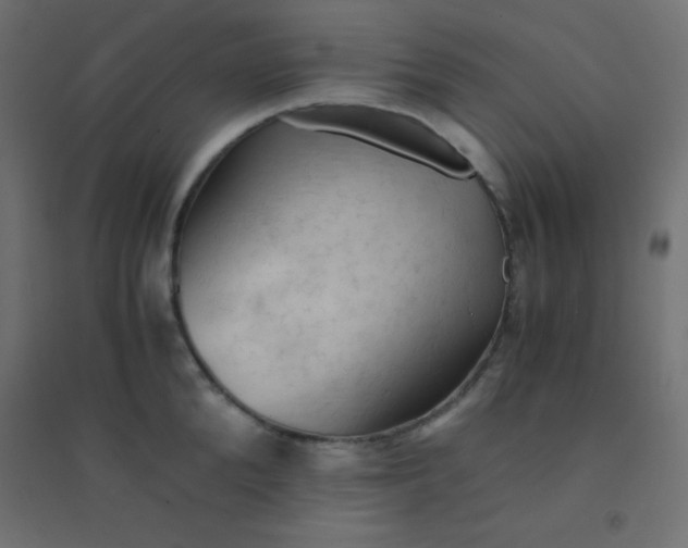 X0000094450904200711211516