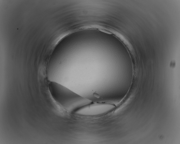 X0000094450905200711211516