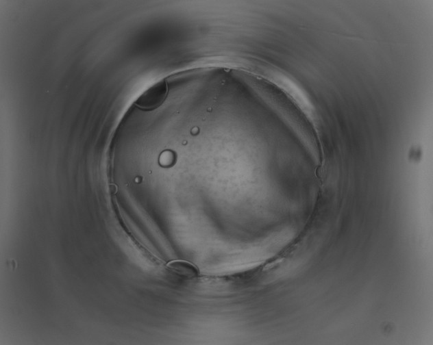 X0000094450907200711211516