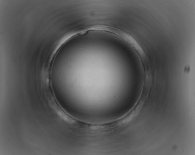 X0000094450908200711211516