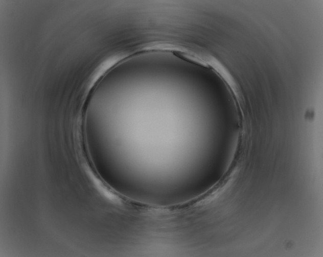 X0000094450909200711211515