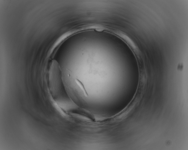 X0000094450910200711211515