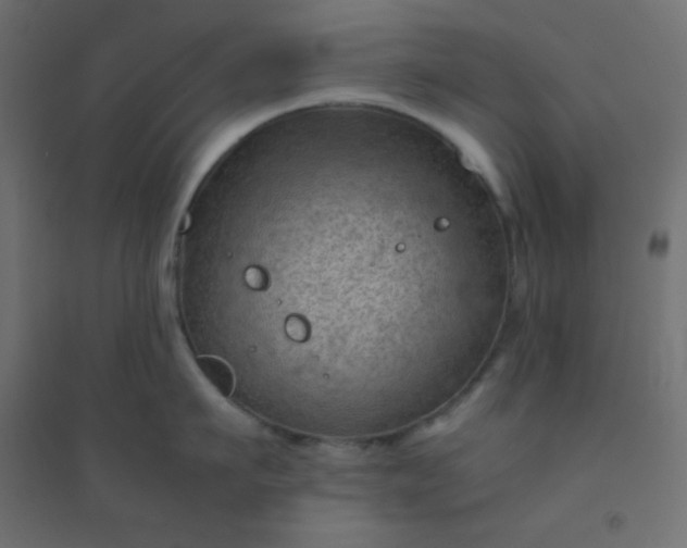 X0000094450911200711211515