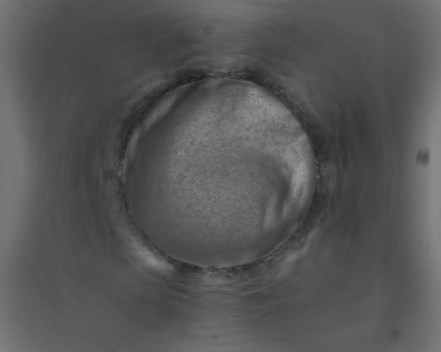 X0000094450913200711211515