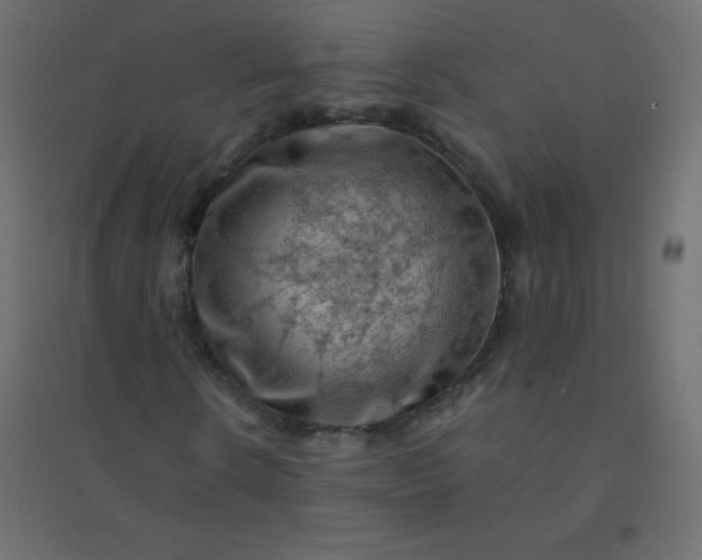 X0000094450914200711211515