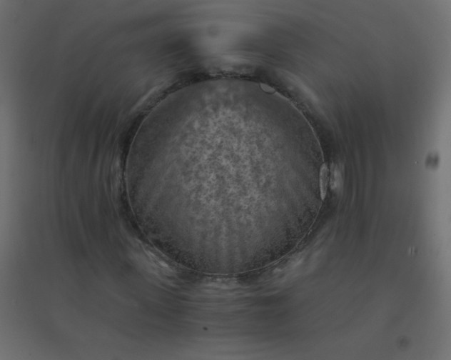 X0000094450915200711211515