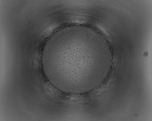 X0000094450917200711211515