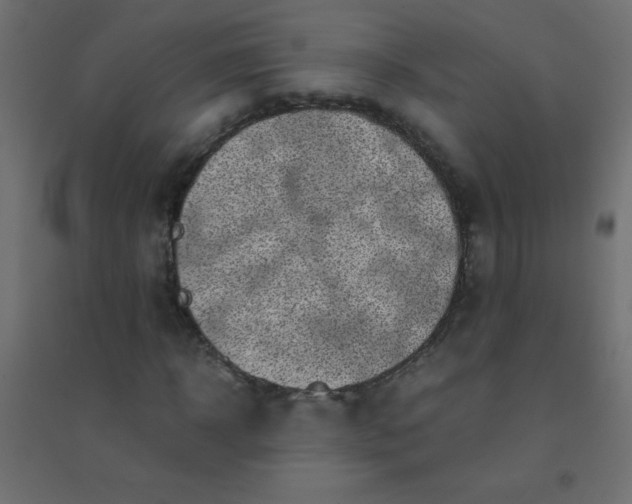 X0000094450918200711211515