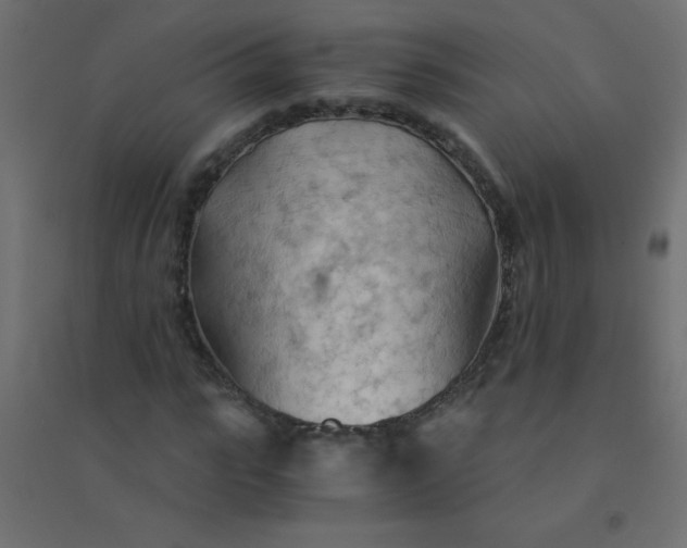 X0000094450919200711211515