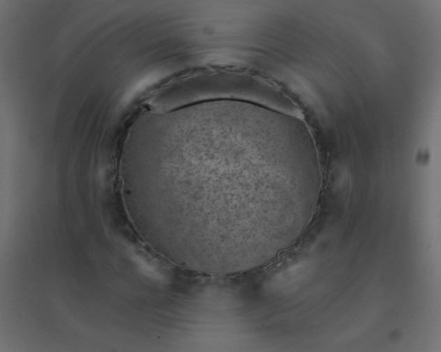 X0000094450920200711211515