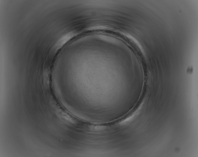 X0000094450921200711211515