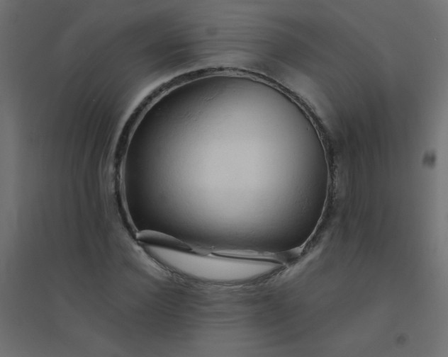 X0000094450924200711211515