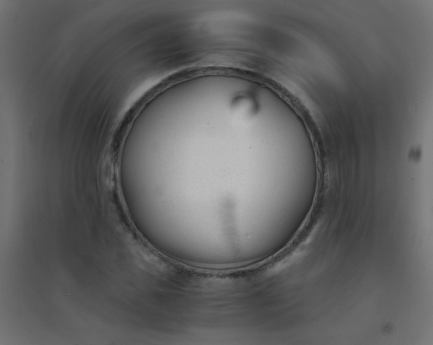 X0000094450925200711211515