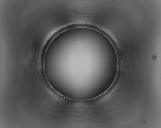 X0000094450927200711211515