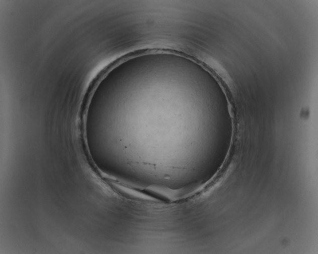 X0000094450928200711211515