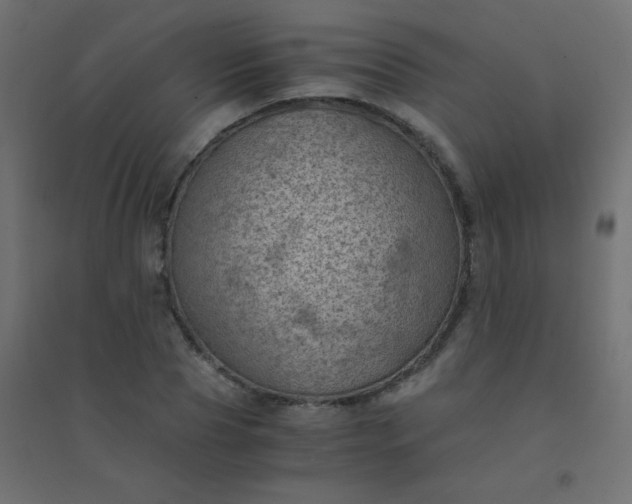 X0000094450929200711211515