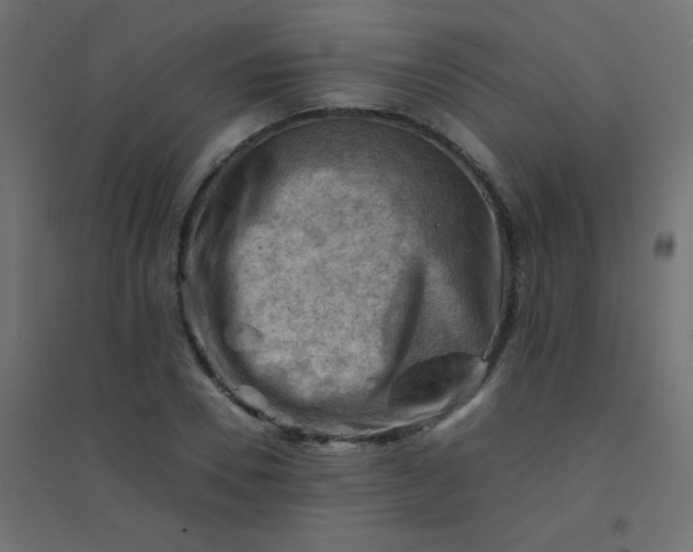 X0000094450930200711211515