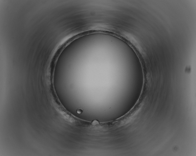 X0000094450931200711211515