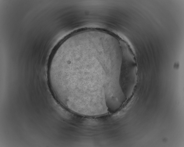 X0000094450935200711211515