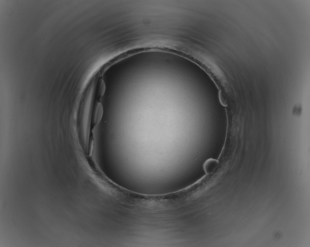 X0000094450936200711211515