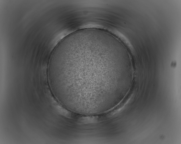 X0000094450937200711211515