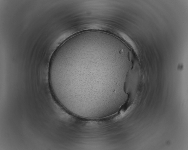 X0000094450938200711211515