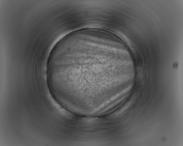 X0000094450939200711211515