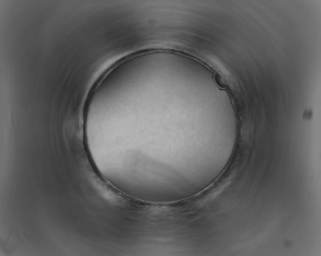 X0000094450940200711211515