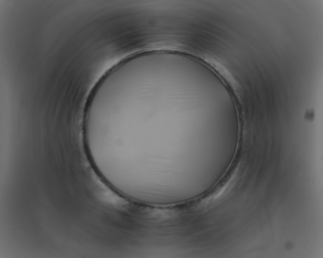 X0000094450941200711211515