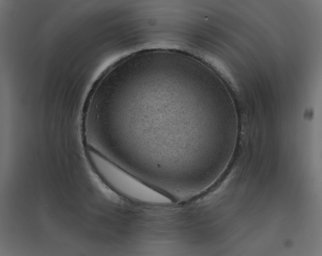 X0000094450942200711211515