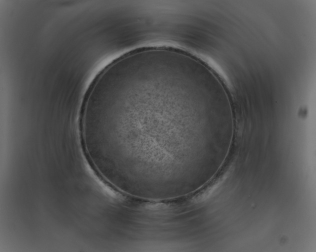 X0000094450943200711211515