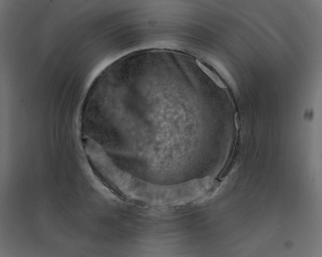 X0000094450944200711211515