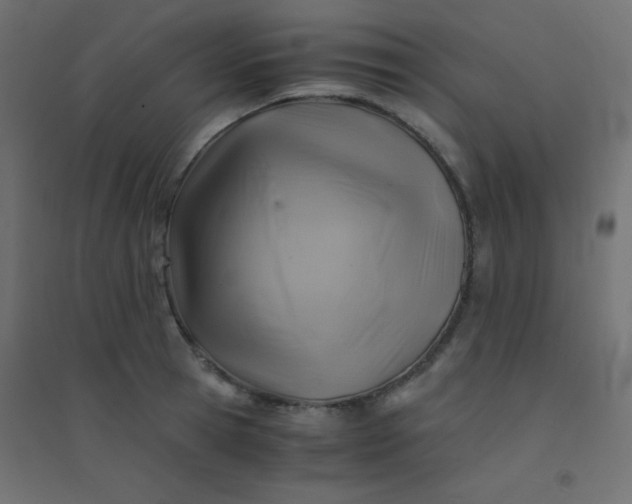 X0000094450945200711211515