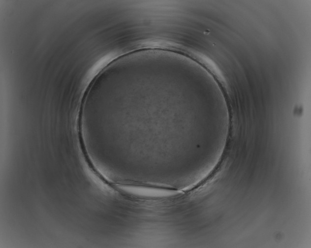 X0000094450946200711211515