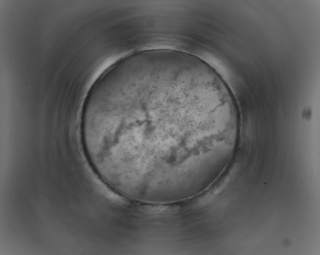 X0000094450949200711211515