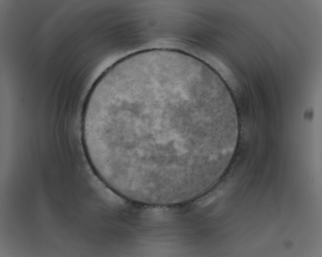 X0000094450950200711211515