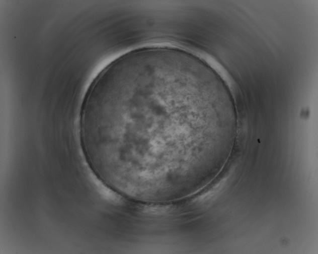 X0000094450951200711211515