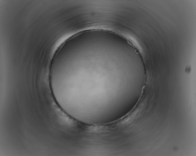 X0000094450952200711211515