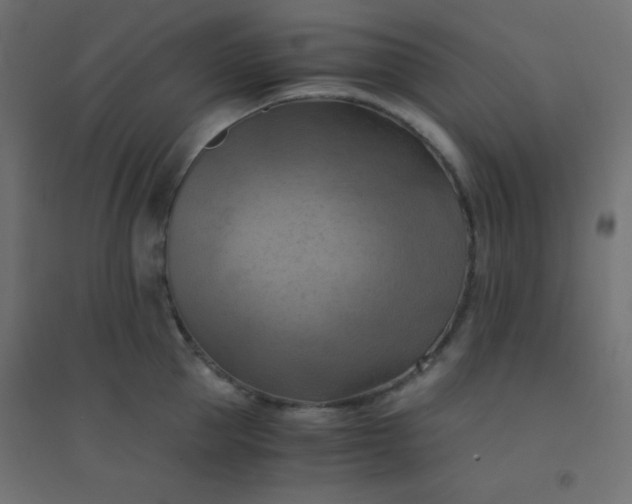 X0000094450953200711211515