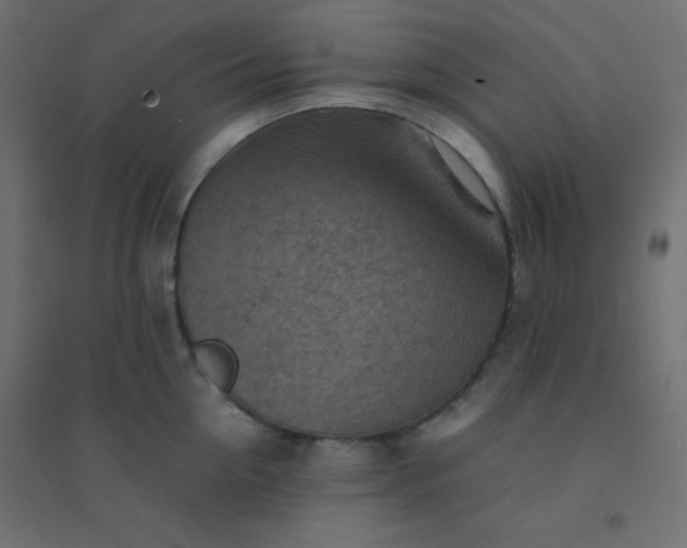 X0000094450954200711211515