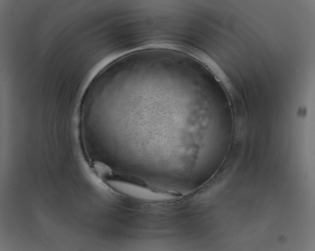 X0000094450955200711211515