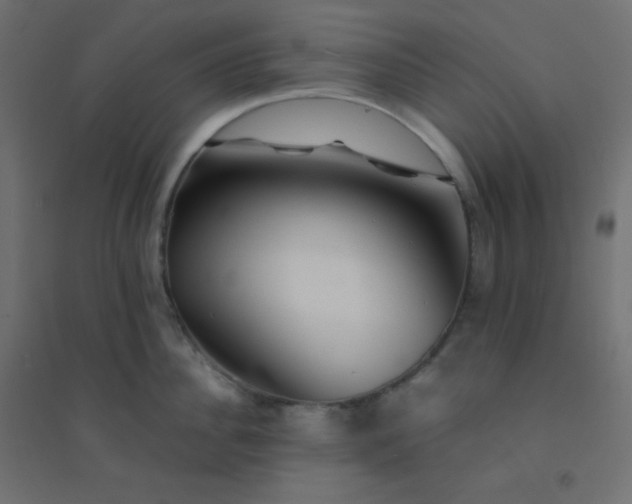 X0000094450956200711211515