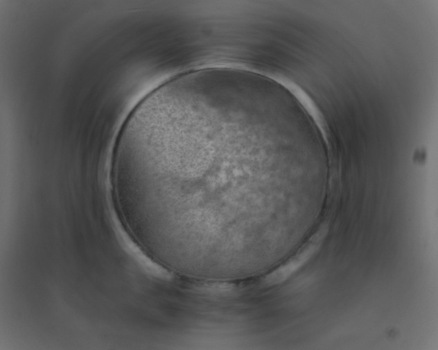 X0000094450957200711211515