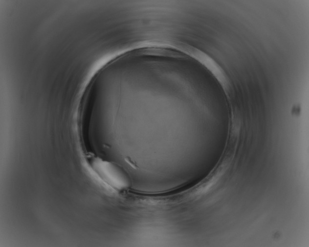 X0000094450958200711211515